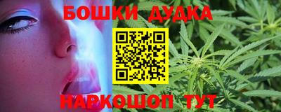 сатива Ставрополь